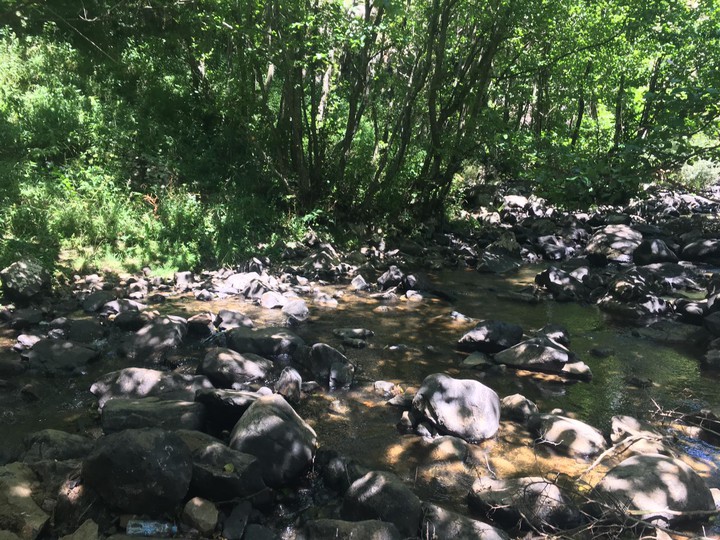 Karadeniz