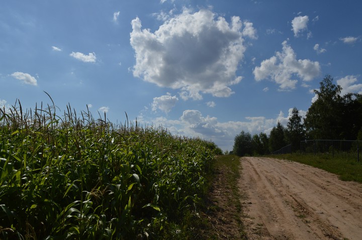 Field