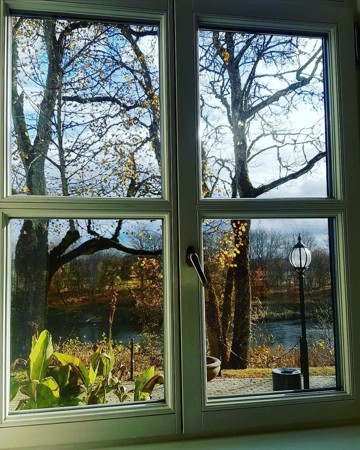 Window