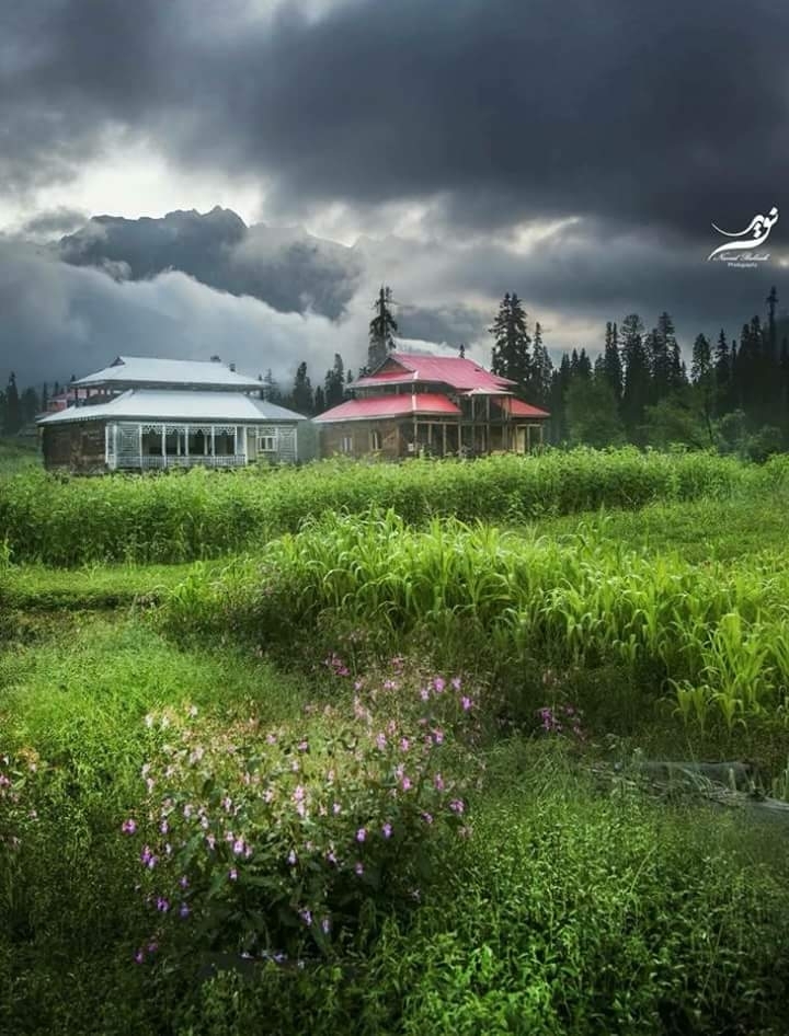 Beauty of nature