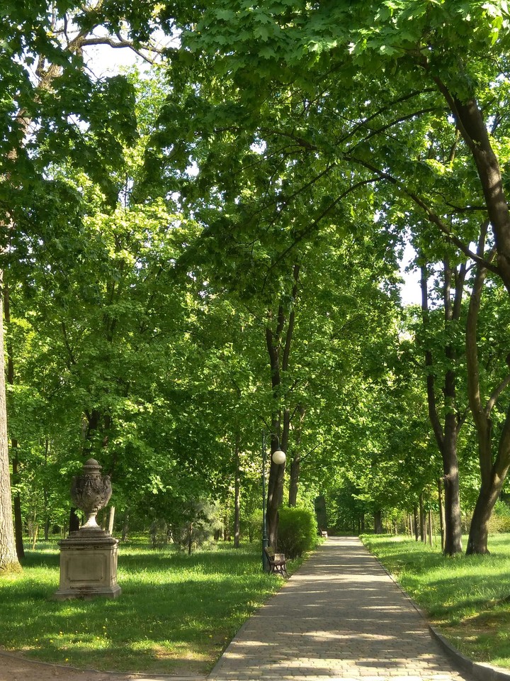 Spring park