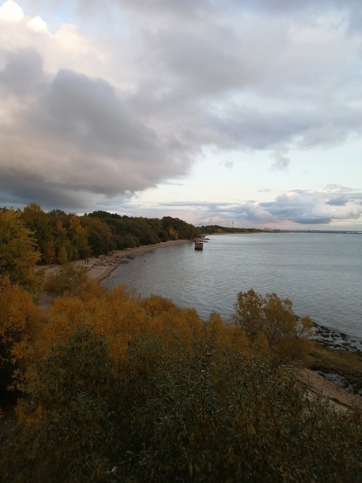 Золотая осень