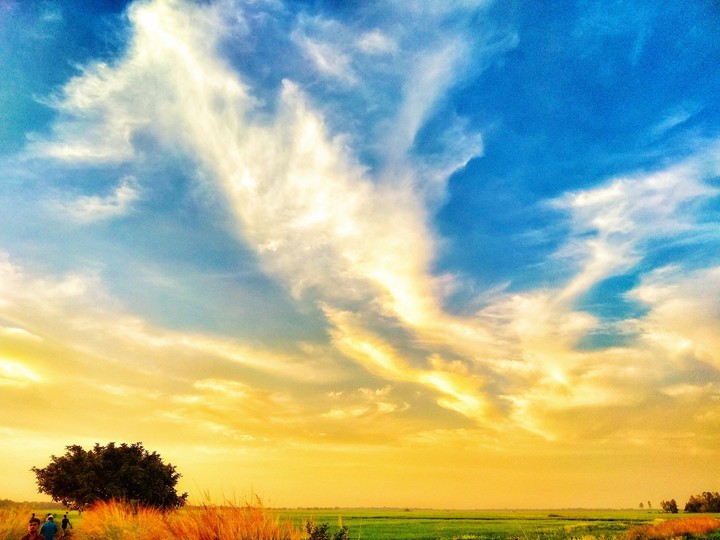 bangladeshi village sky