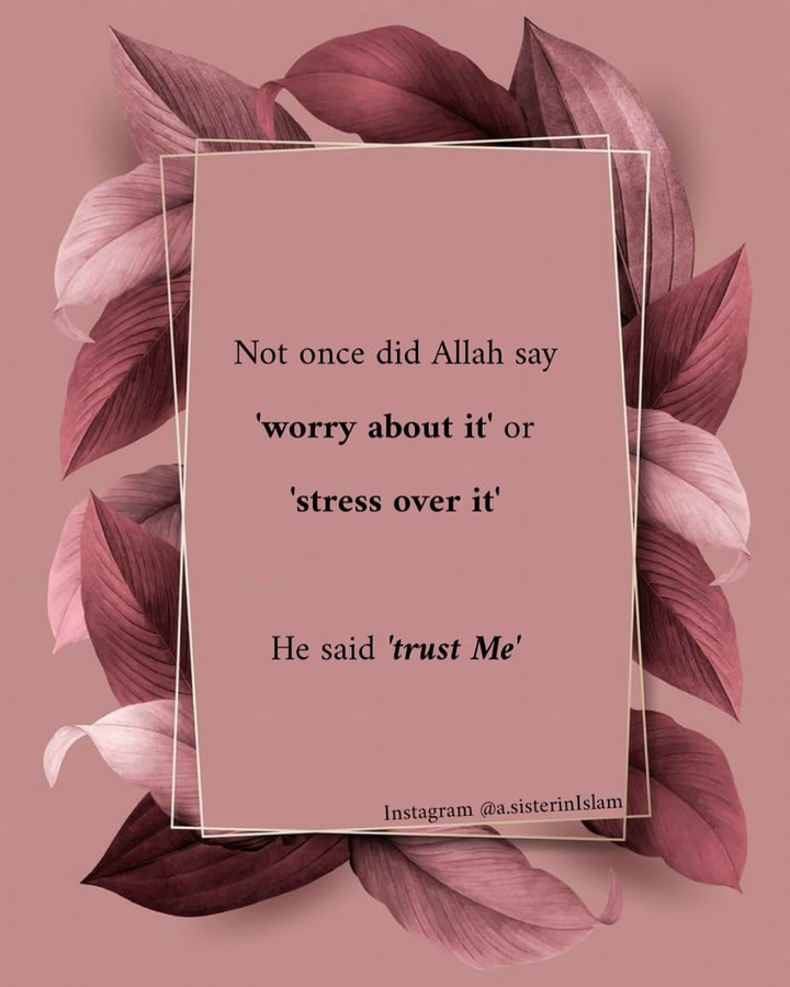 Trust him