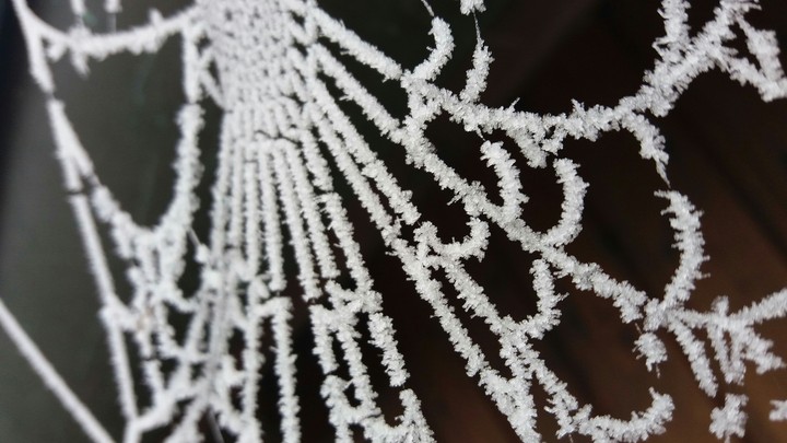 Frozen Cobweb