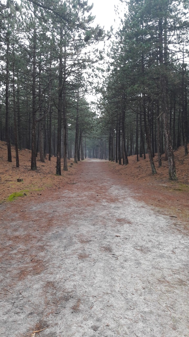 Easter walk