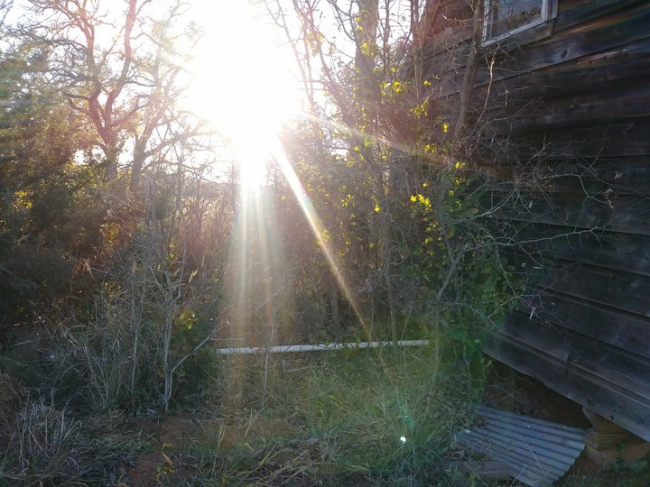 sun shining behind an old wooden shed