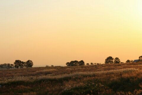 during sunset ..