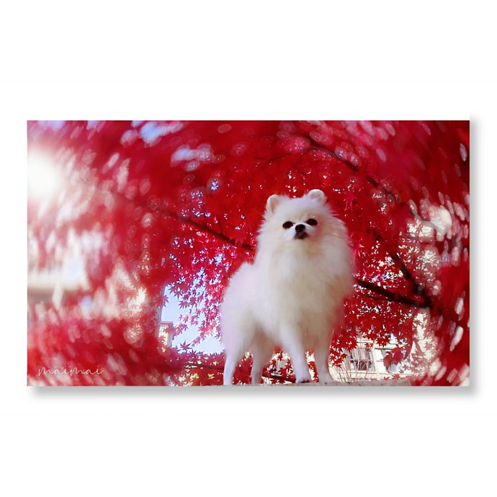 ❤