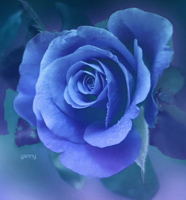 Blue