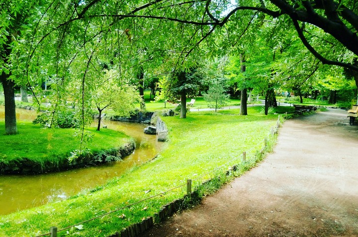 green and green