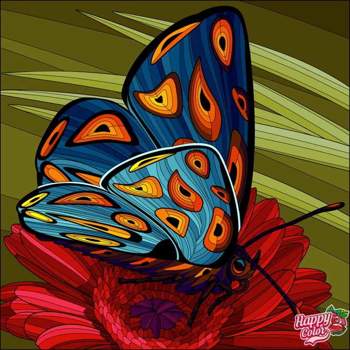 Borboleta