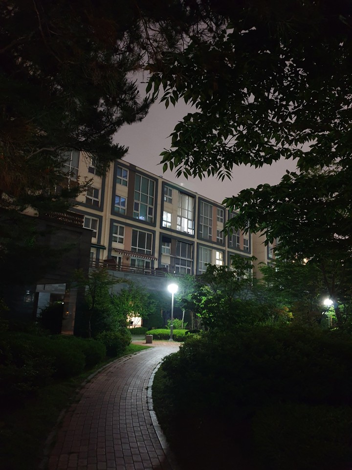 night view