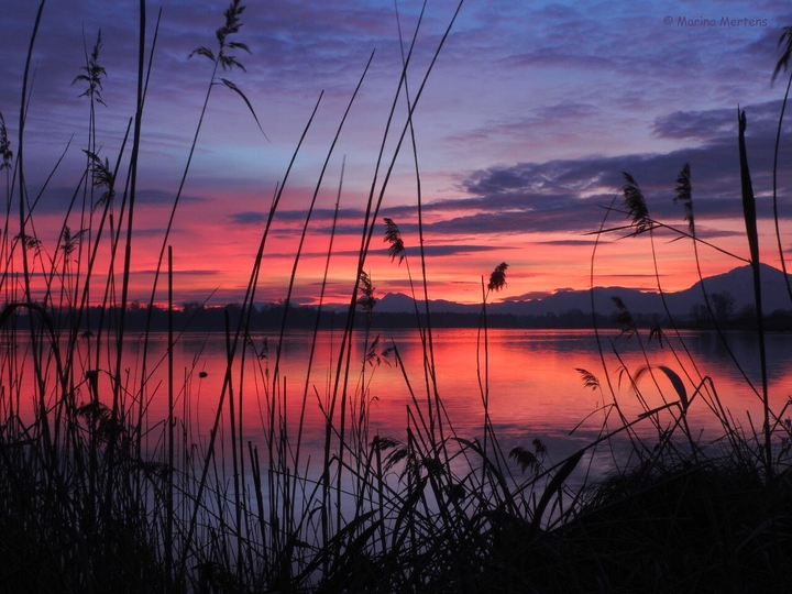 Beautiful sunrise in the morning!