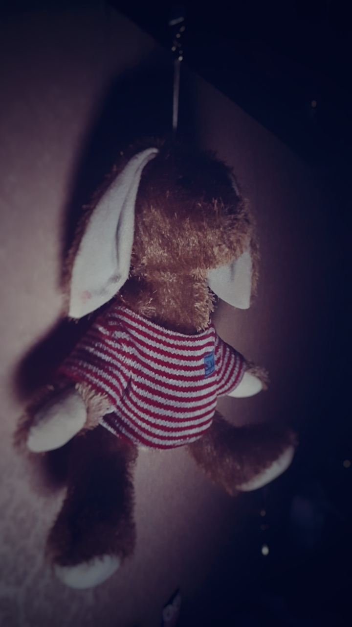 teddy bear