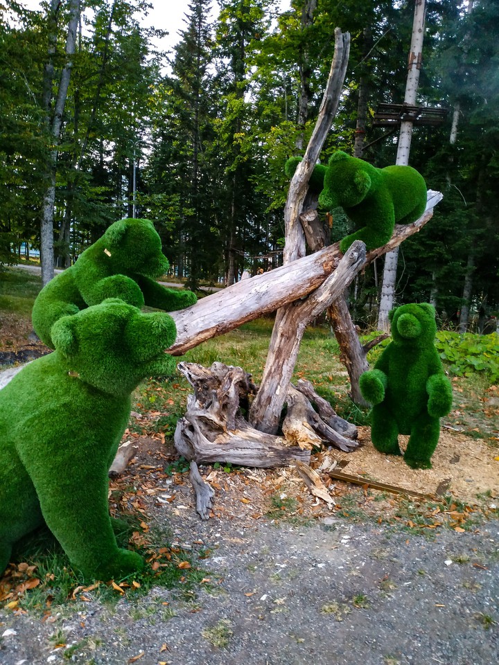 .
