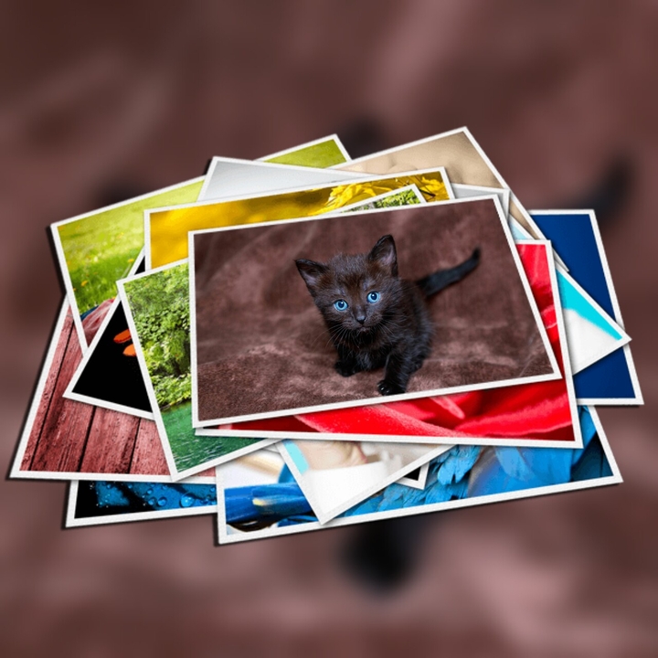 Котик