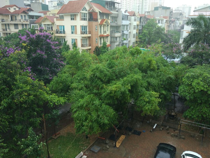 Lager stroemia rain