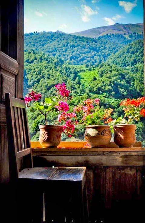 Sit quietly and let your hair braid in the spring breeze