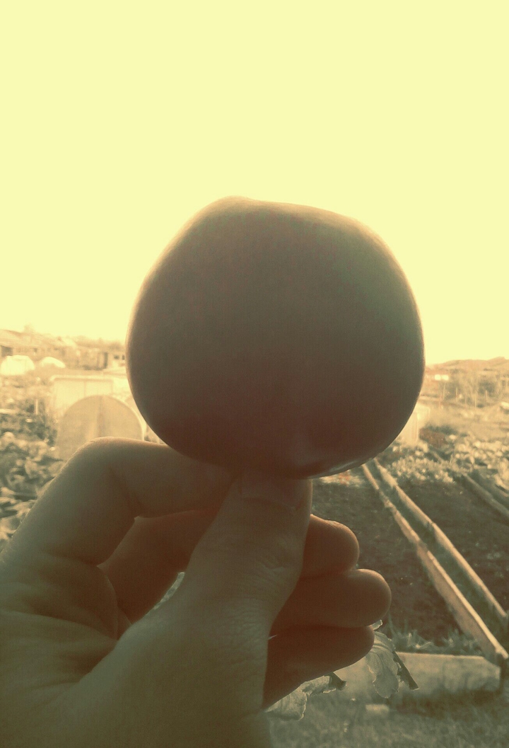 apple