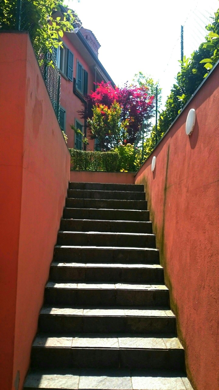 STAMATIOS