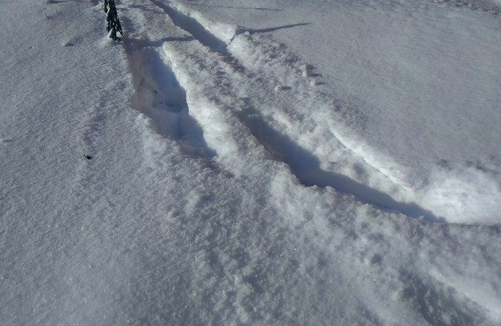 snow