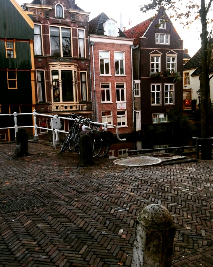 glimpse of the dutch