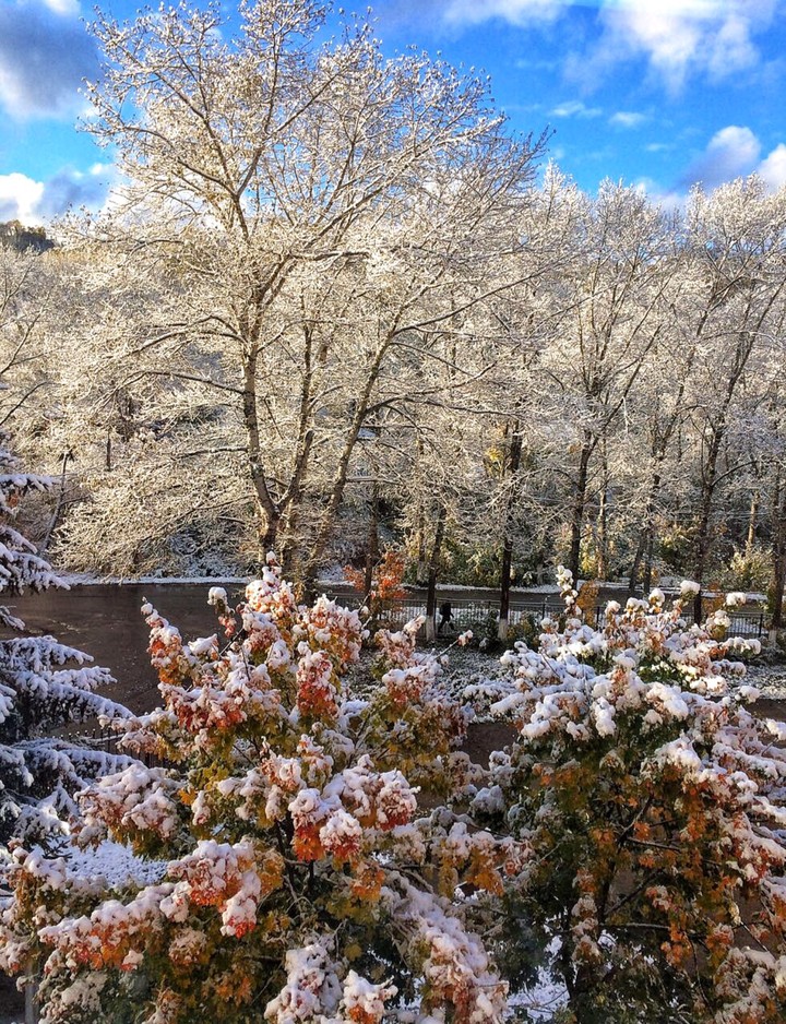 Russian autumn ❄️