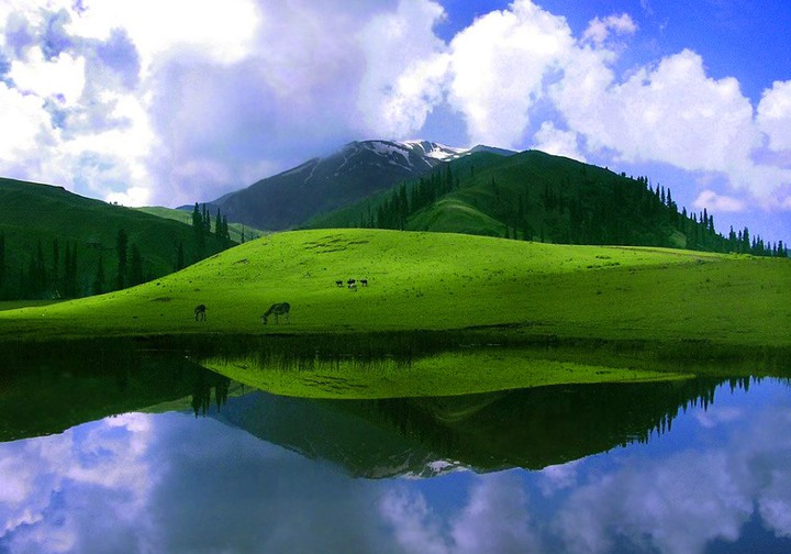 pakistan