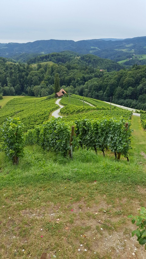 between Austria and Slovenia.