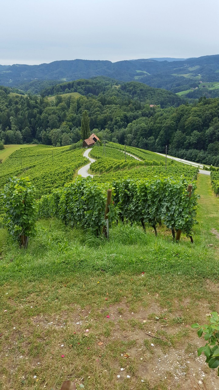 between Austria and Slovenia.