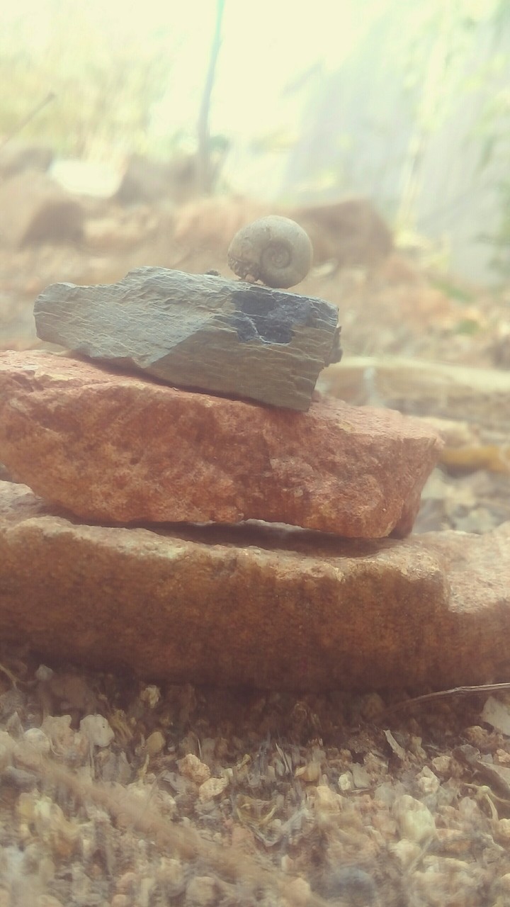 stones
