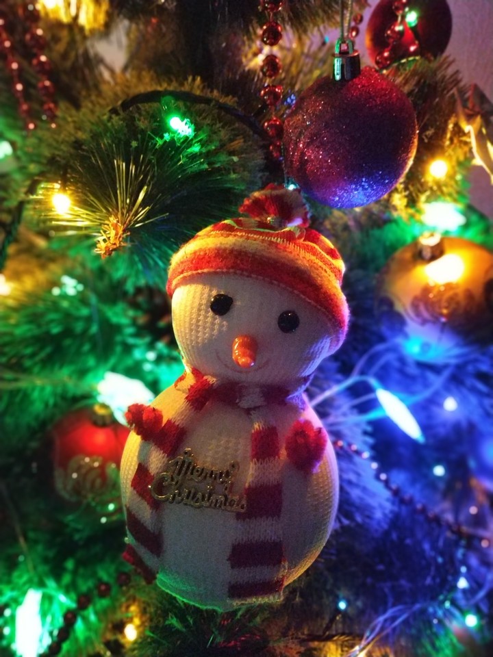 Merry Christmas