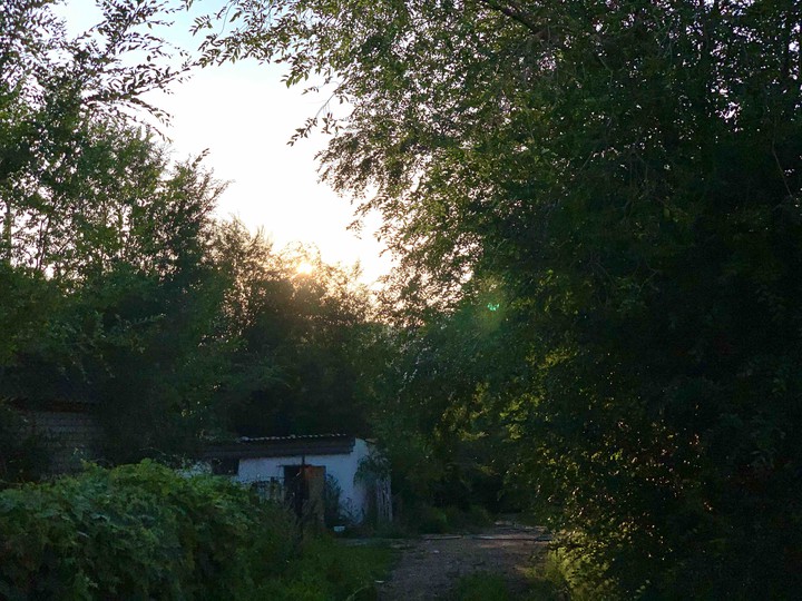 Sunlight day