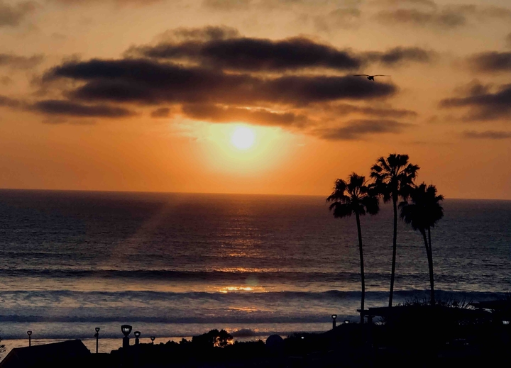 Dana point beach