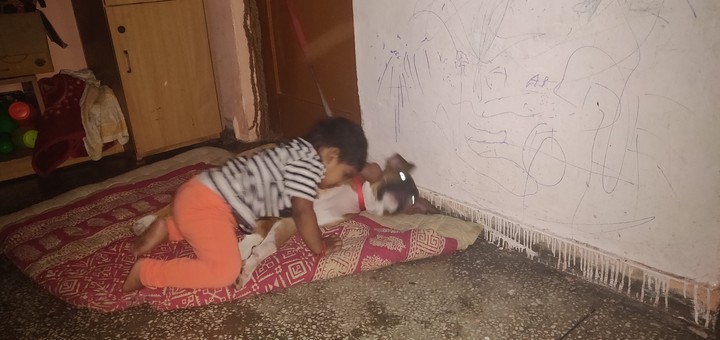 dog lover