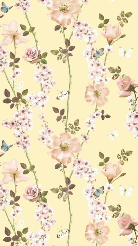 树枝, flower壁纸