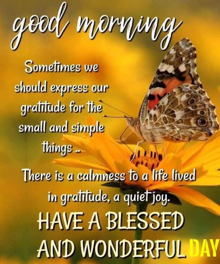 good morning