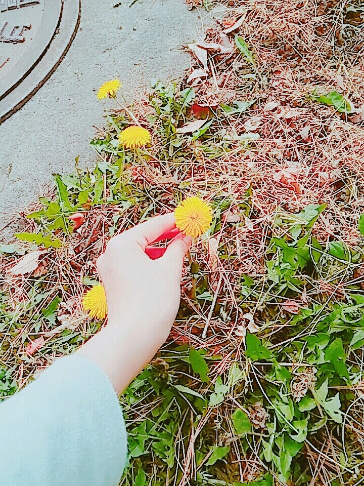 spring