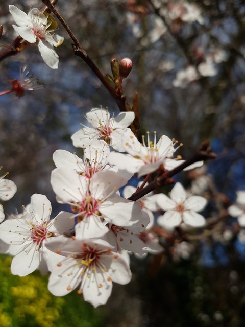 Spring is in the air!