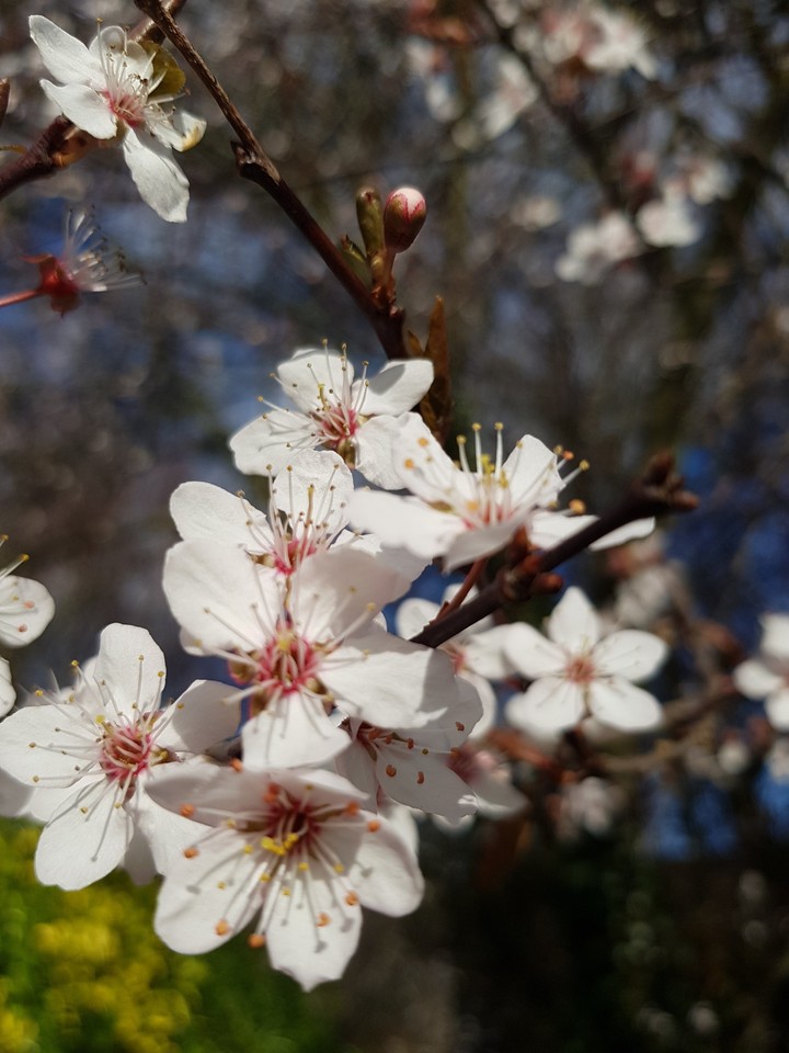 Spring is in the air!