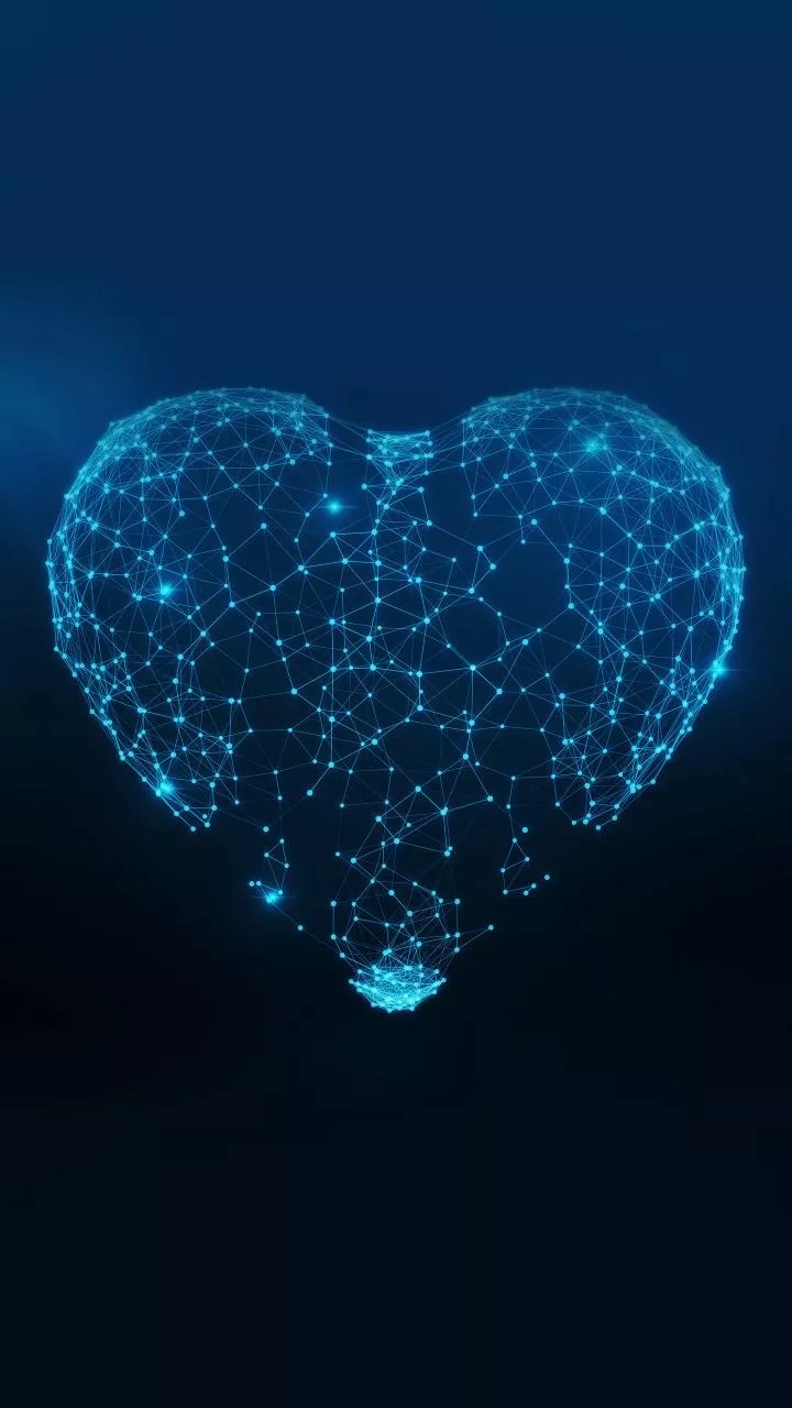 Heart