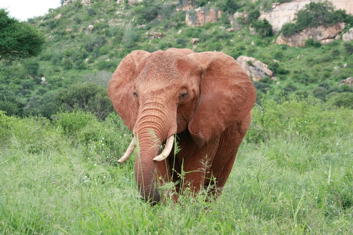 Kenya