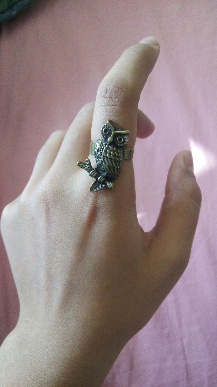 owl