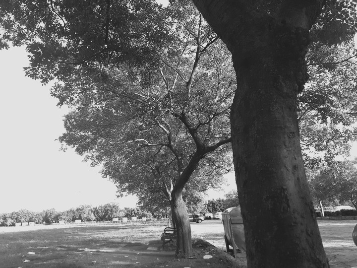 nature