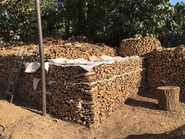 WoodMan