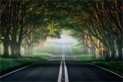 Roads ❤️