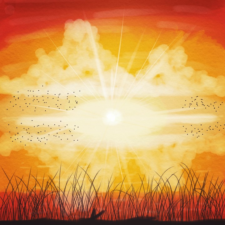 The Orange Day