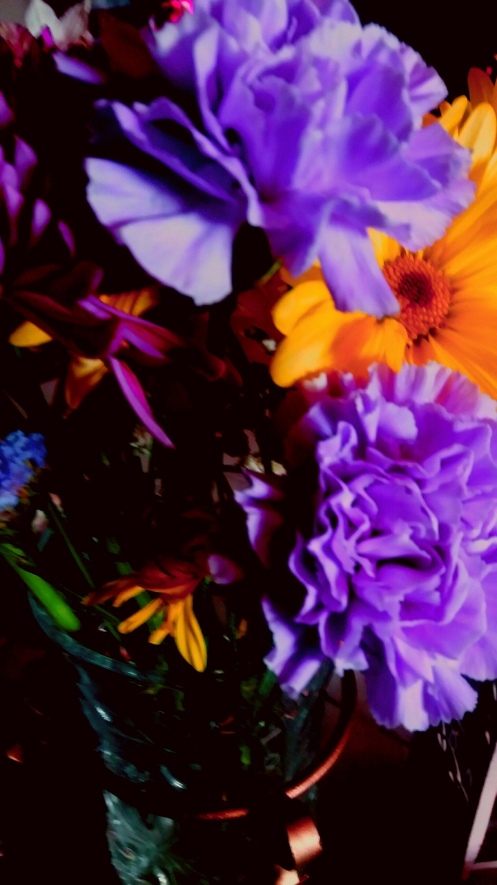 fresh flowers