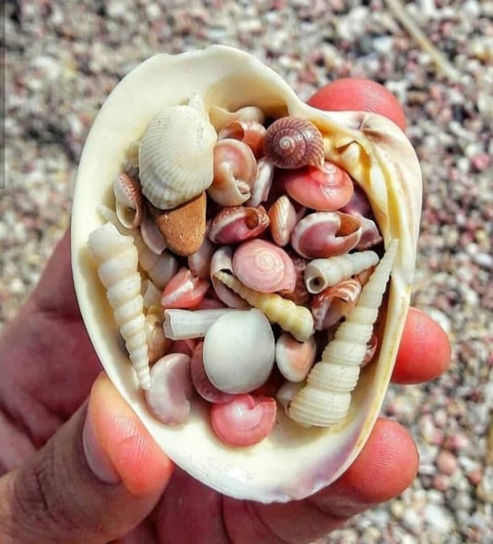 Qeshm Island, Iran